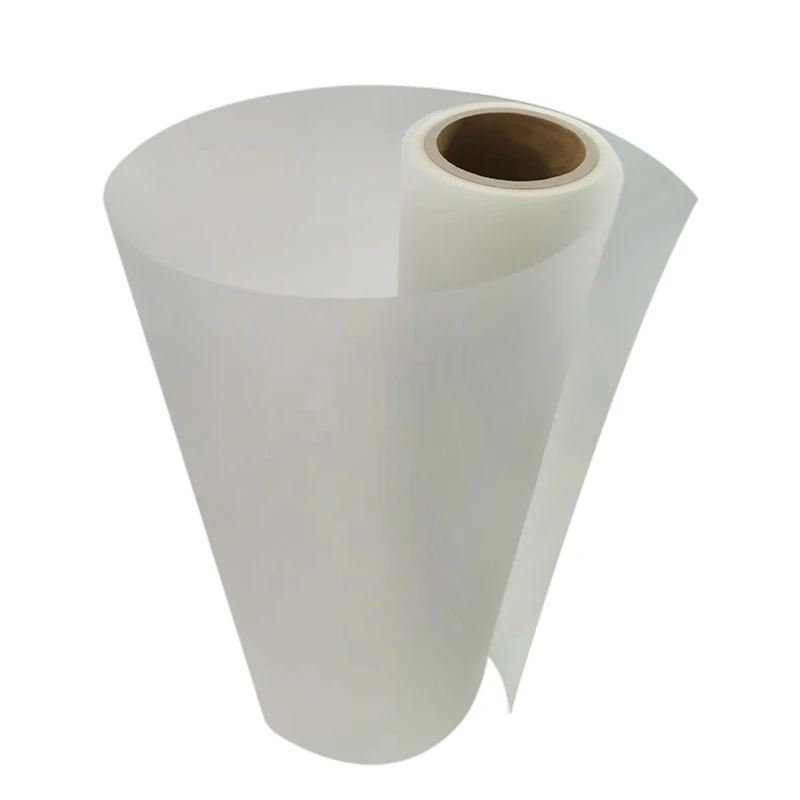 2023 l1800 dtf machine double sided dft pet film 75um premium hot and cold peel DTF film