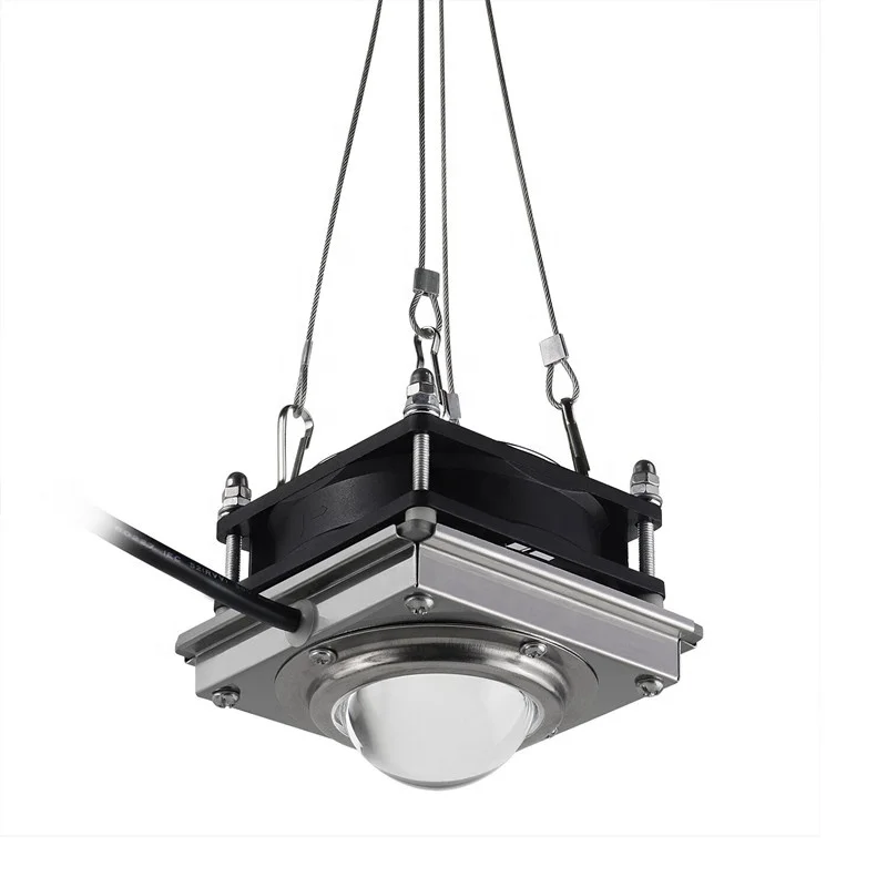Greenhouse Full Spectrum Grow Lights For Greenhouse Efficiency Chip Hydroponic Diy 200W 4000K Cob Led Grow Light