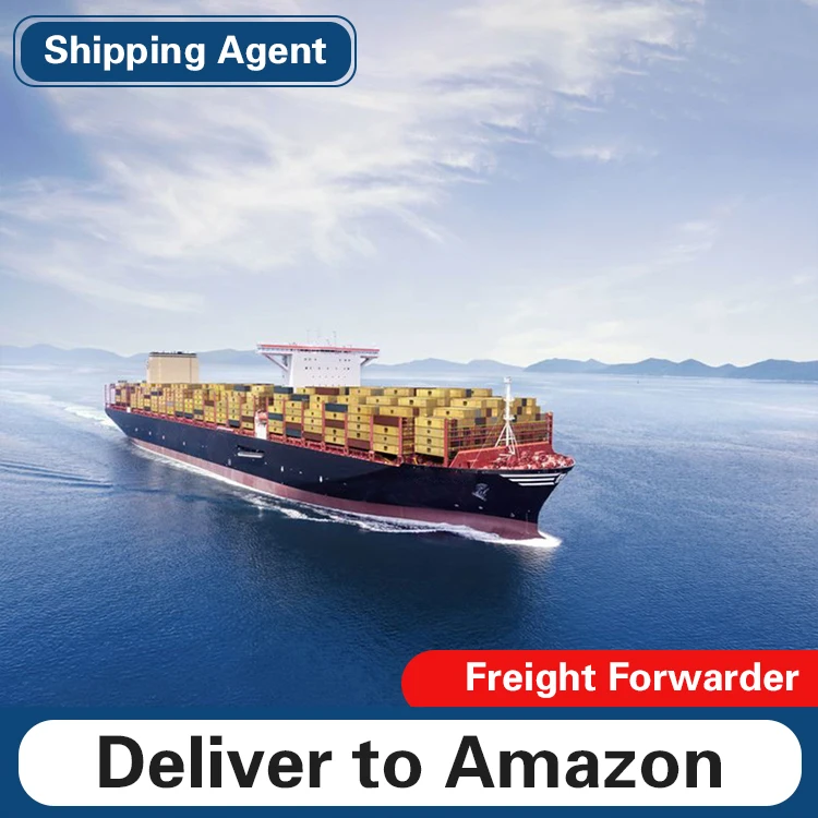 DDP service sea freight to B2BFBA warehouse shipping top 10 China shipping agent from Shenzhen Yiwu to USA