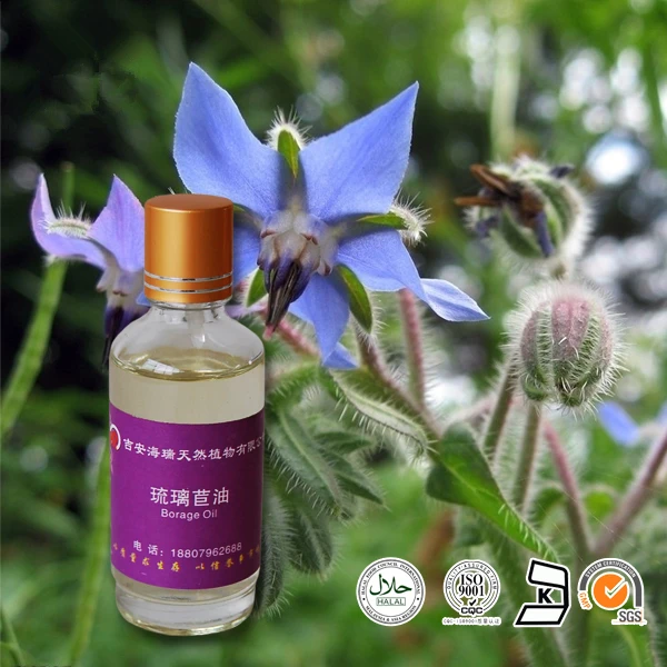 Натуральное и органическое масло семян Бора пищевого класса/масло Бора по оптовой цене