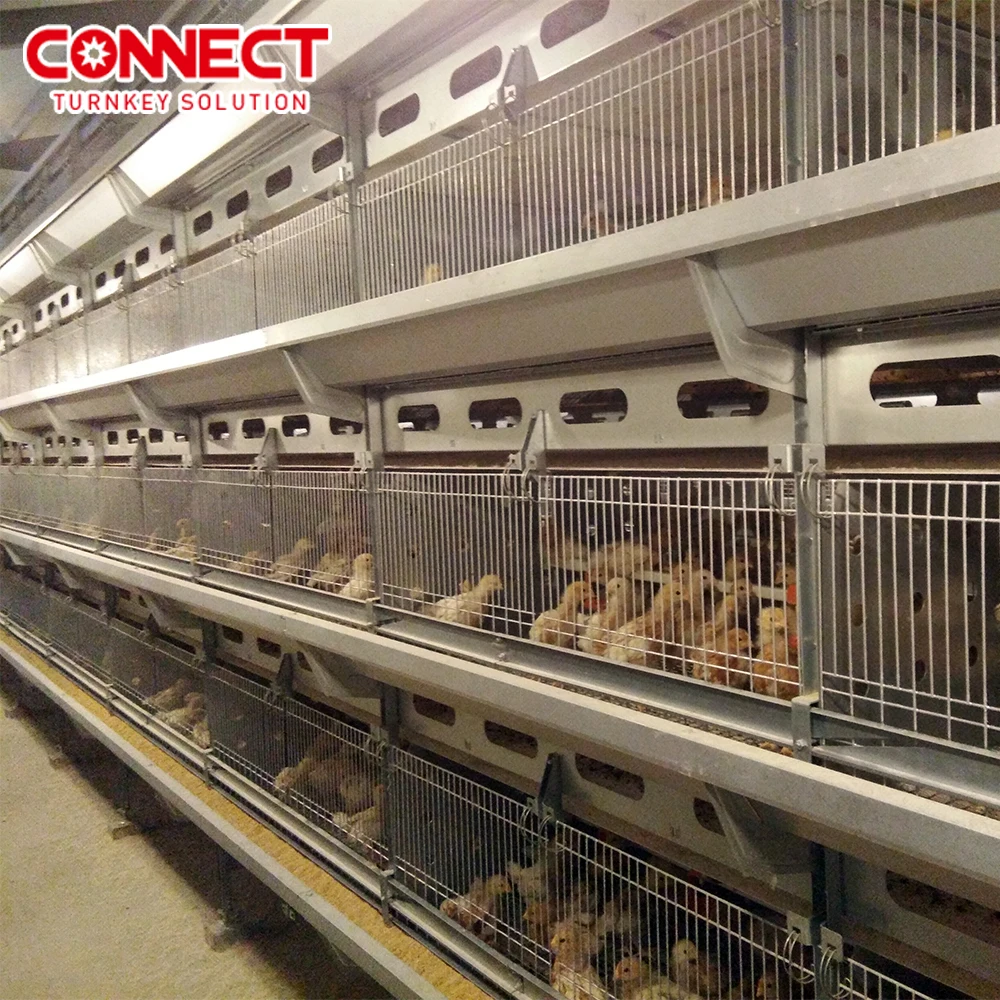 Complete Automatic Poultry Husbandry Equipment H Type Feeding House Manual Poultry Metal Broiler Raising Chicken Cage For Chicks
