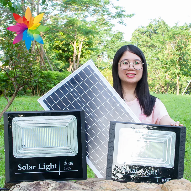 HUAPAI 2024 Guangdong Intelligent Light Control Induction IP65 Cold White Light LED Solar Flood Lamp