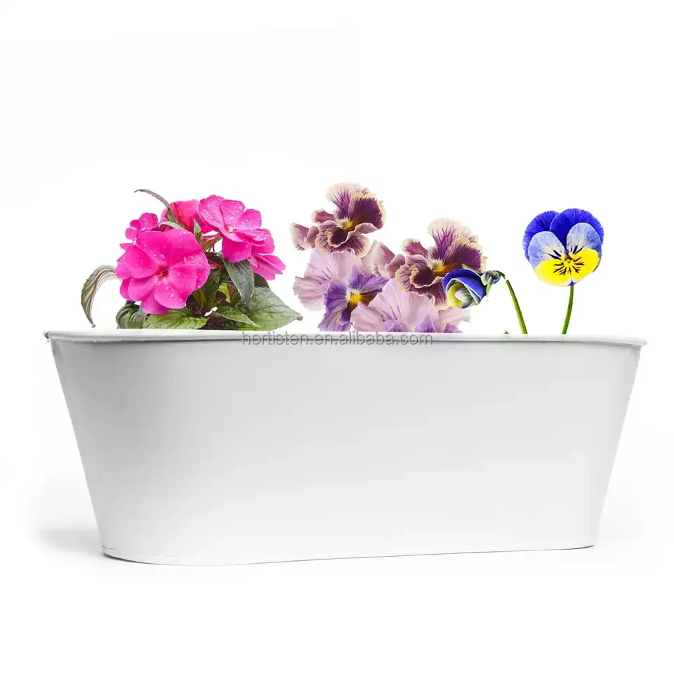 White dusting and matte metal oval tub flower pot kids paint plant and grow flower kit