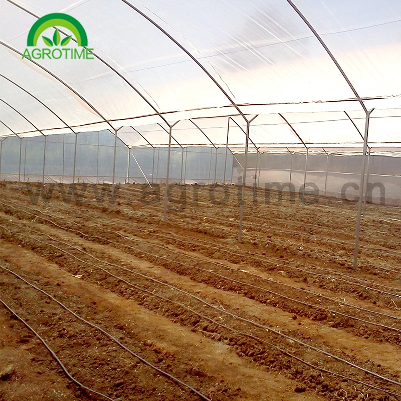 Сельскохозяйственные теплицы AGROTIME многопролетная теплица с холодной рамой строительный зеленый дом на