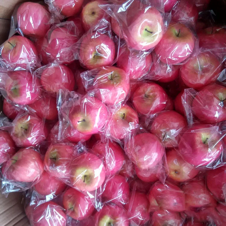 Watermelon Peaches Apples Pitaya Freeze Dried Dragon Artificial Vegetables Fruit For Decoration