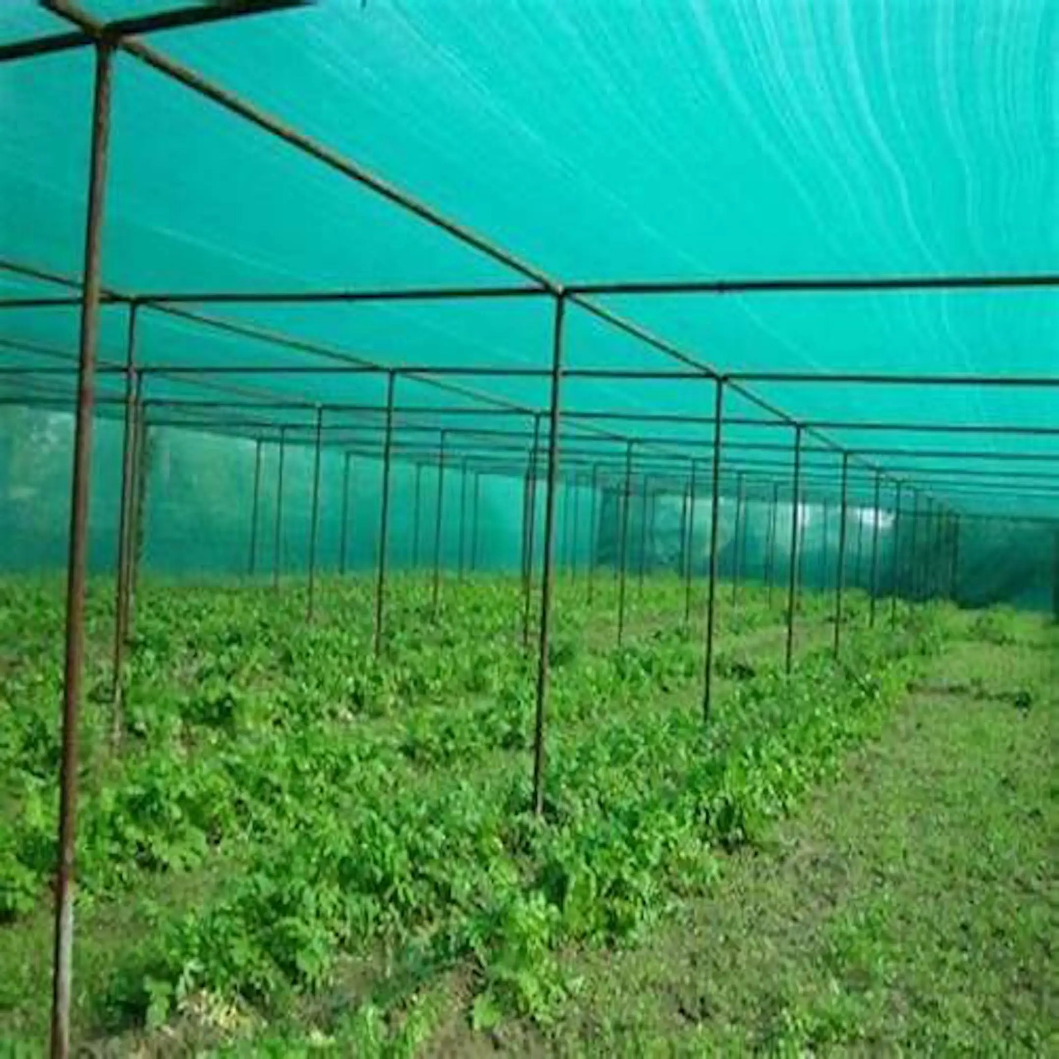 Hdpe Plastic uv Treated Agriculture Farming greenhouse Roof Garden Outdoor Green Fence Sun Protection monofilament Shade Net