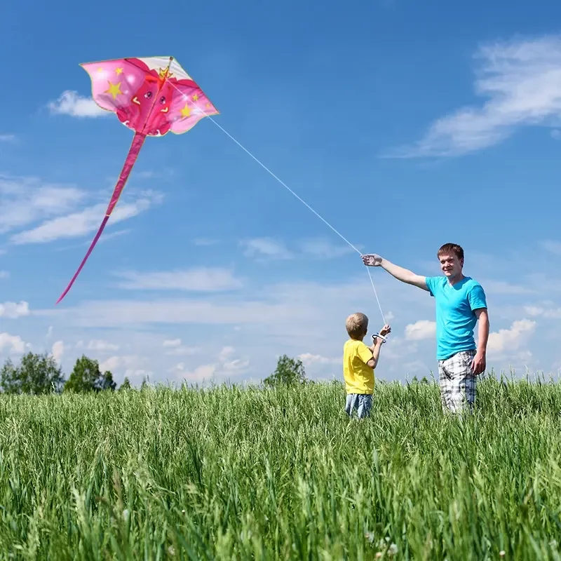 New Polyester made Cartoon Animal Kite Flying Elephant Kite Dumbo Kite