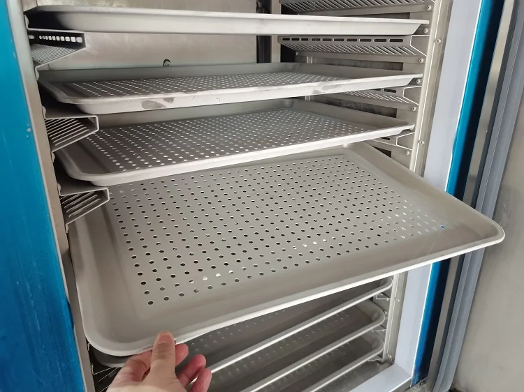 IQF Strawberry Quick Fast Freezing Machine 10 trays blast freezer For seafood fishery chicken and meat
