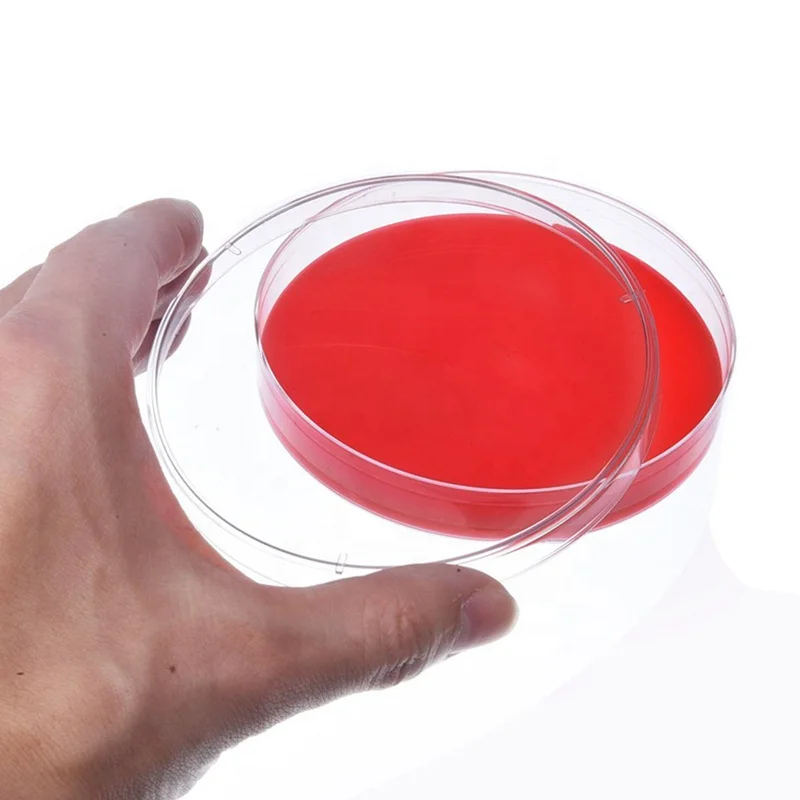 Lad Disposable Medical Plastic Glass 90mm Wholesale 100x15 Sterile Petri Dish