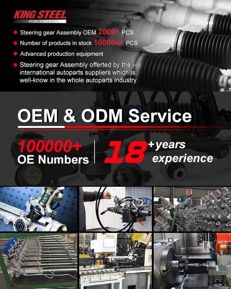 OE 49001-1AA1A/1AA0A/0W010/0W001/0W000/0M011/0M010/00Q2J/0W710/0059R/2996R/D4600/8H31A Car Power Steering Rack Gear For NISSAN