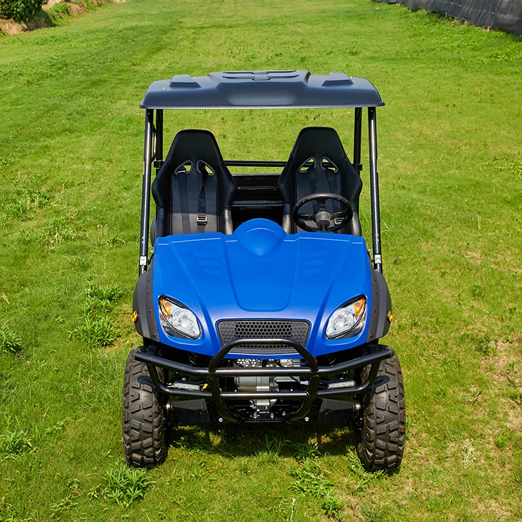 With Favorable Price UTV Electric 2wd Cheap Electric UTV for Outdoors
