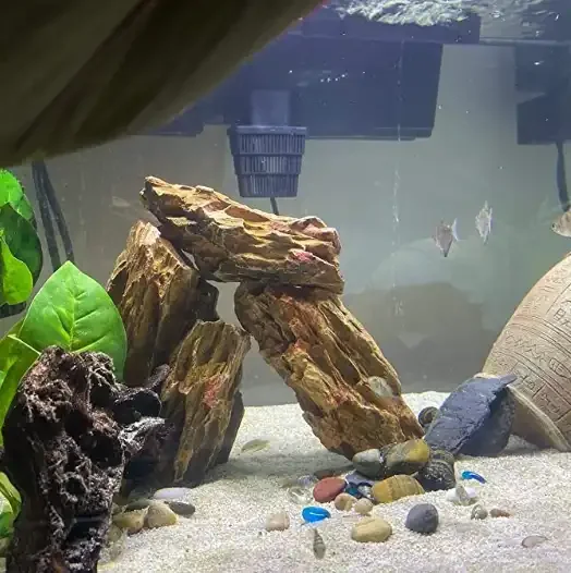 Dragon Stone Rock Aquariums Decoration Aquascaping Stone (Mixed Sizes)