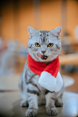 
Warm Winter Pet Dog Scarves Knitting Thicken Scarf Shawl Knit Collar Cat Christmas Scarf Grooming Accessories For Pets 