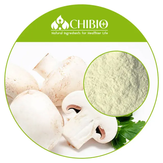 Натуральный Пищевой chitin chitosan/гриб chitosan для оптовой продажи