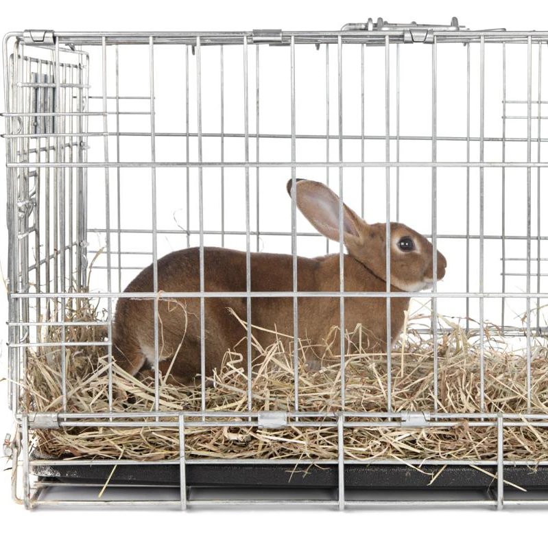 
A Variety U type Clinch Clips M66 for Rabbit Folding Net Cage 