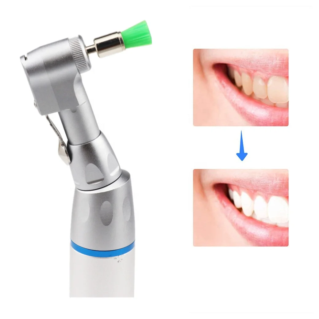 Other Dental Equipments Composite Consumable Dentistry Whitening Tool Dental Products Polishing Prophy Brush