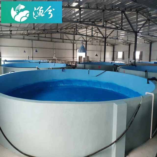 Внутренняя Циркулирующая вода высокая плотность система распознавания рыбы дизайнерское оборудование установка и ввод в эксплуатацию 500 квадратных