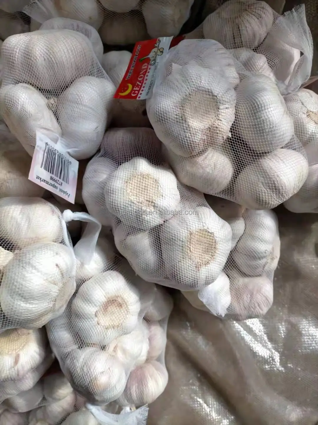 China Garlic Planter / Wholesale Garlic