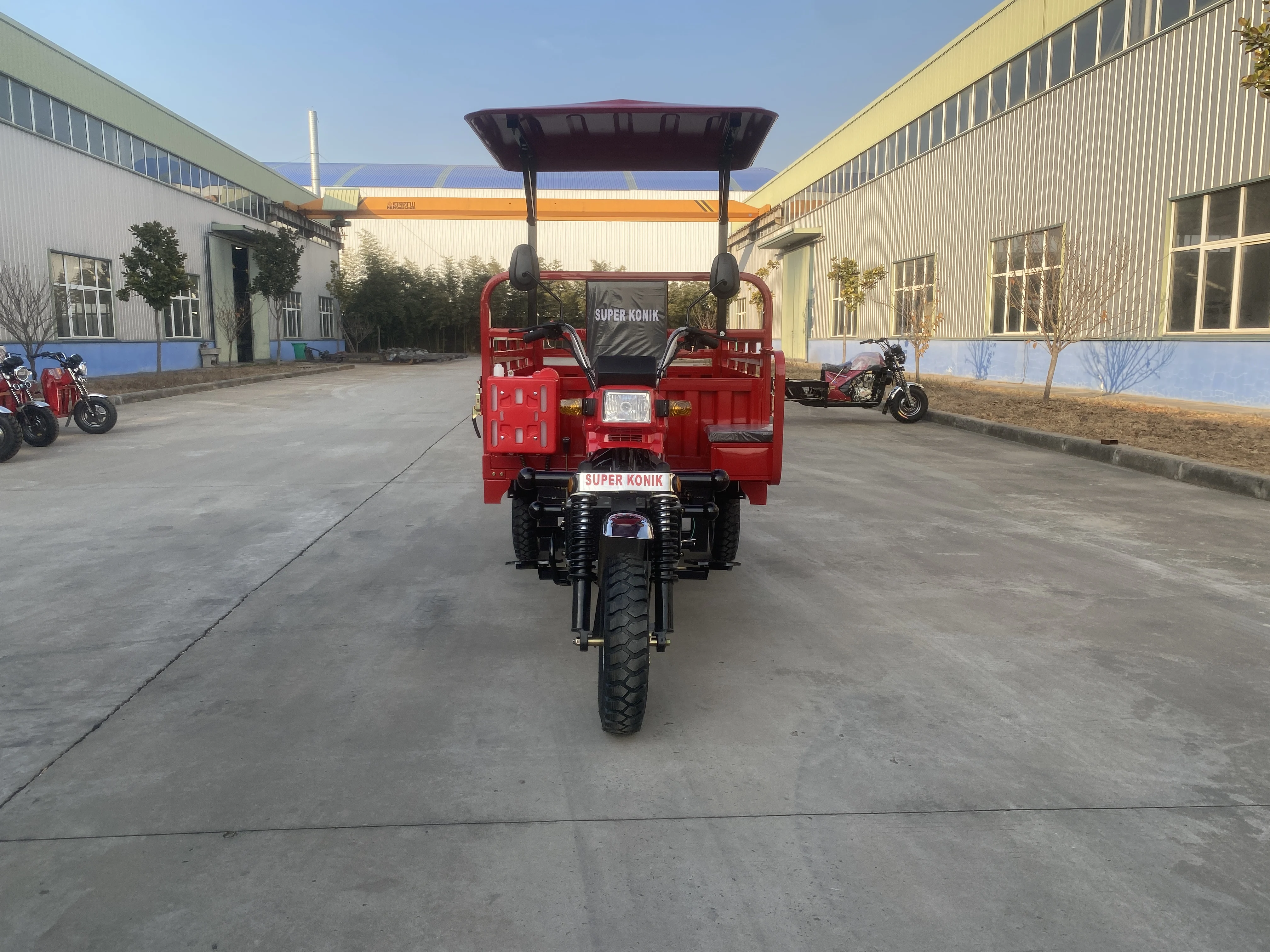 China Cargo Bike 3 Wheels  Tricycle for Adult Use