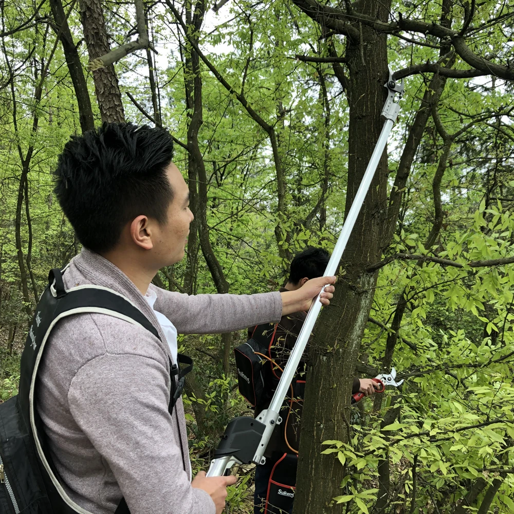 vineyard poles fruit picking scissor/electric pruning shear extension pole