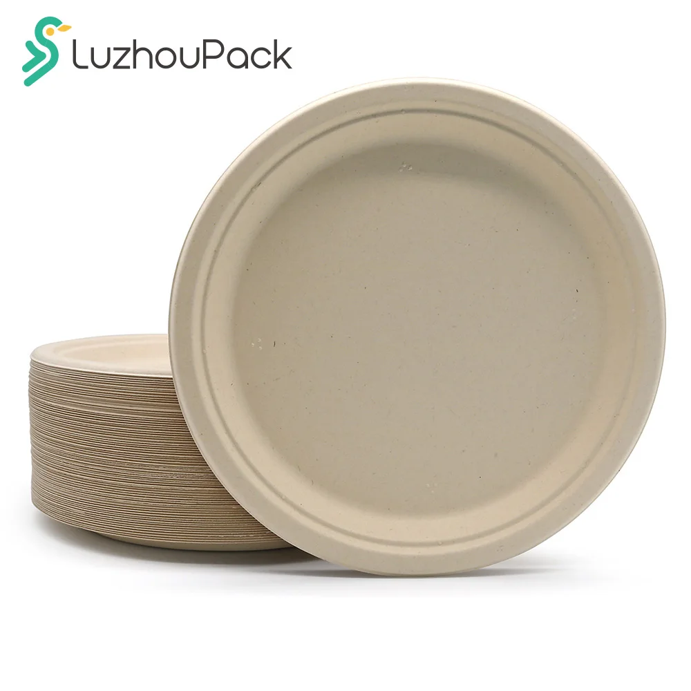 LuzhouPack 10 Inch Leakproof Microwavable Eco Friendly Disposable Bamboo Compostable Biodegradable Dinner Plates Paper