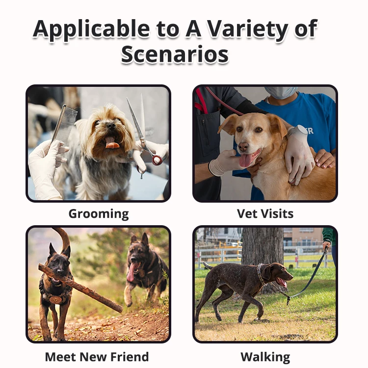 Famicheer Custom Puppy Cloth Muzzle to Stop Eating Everything Dog Mouth Muzzle for Sale