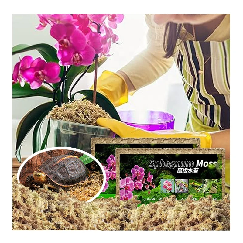 Wholesale great price long fiber dried orchid sphagnum moss for reptile plants