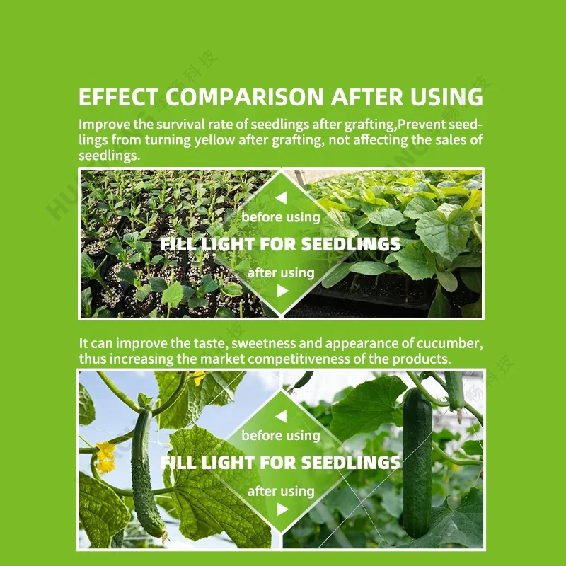 Full spectrum of cucumber or cucumber plant supplement lamp growth lamp