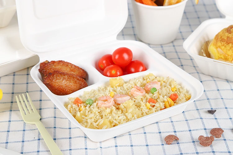 8 inches disposable Sugarcane Bagasse fiber paper clamshell food packaging box