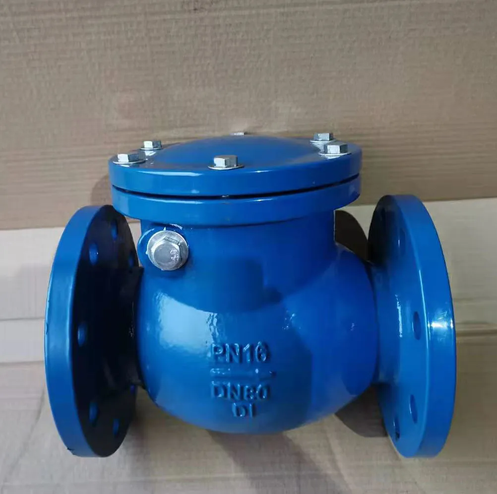 DN50-DN300 DIN 3202 F6 pn16 Ductile Iron water swing check valve