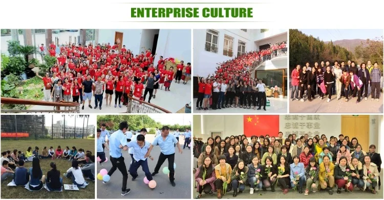 Enterprise culture 1.jpg