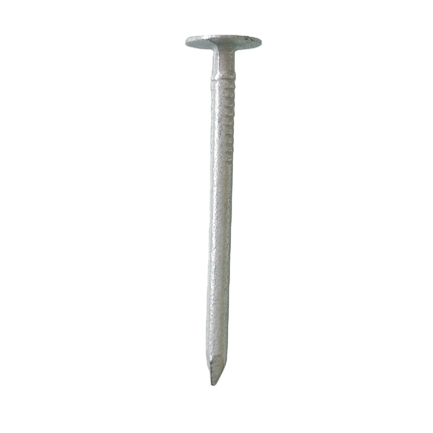 
High Quality China Factory Galvanized Smooth Shank Clout Nail 