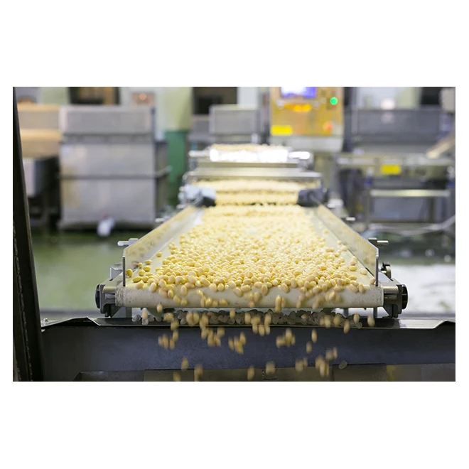 Bulk dried protein soybeans to promote digestion and absorption