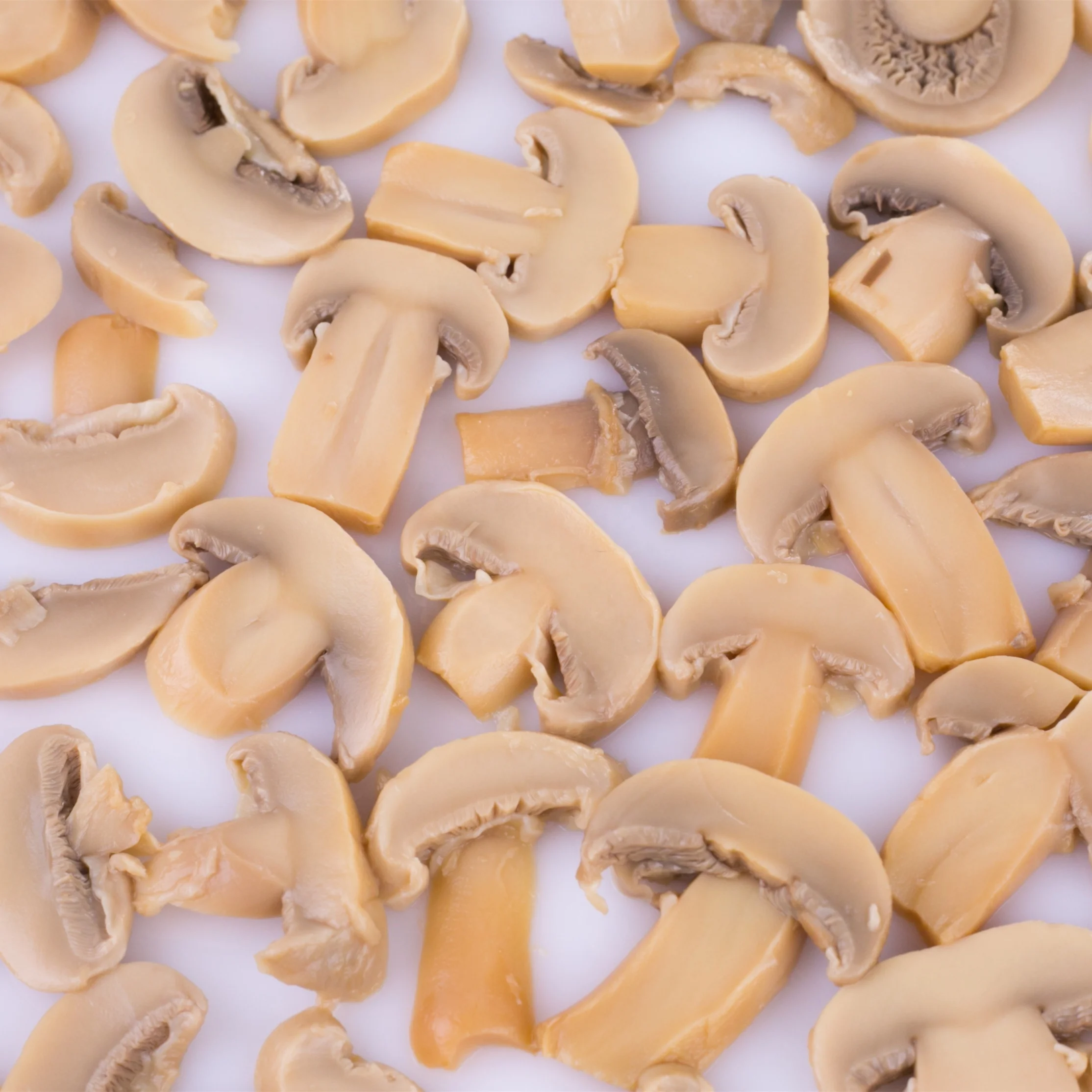 
Wholesale food price list canned fresh mushroom slice 
