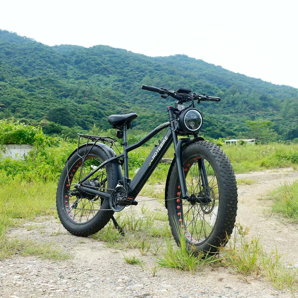 high speed Aluminum Alloy e bike beach cruiser 500w 750w ebike electric bike 1000w electric mountain bike