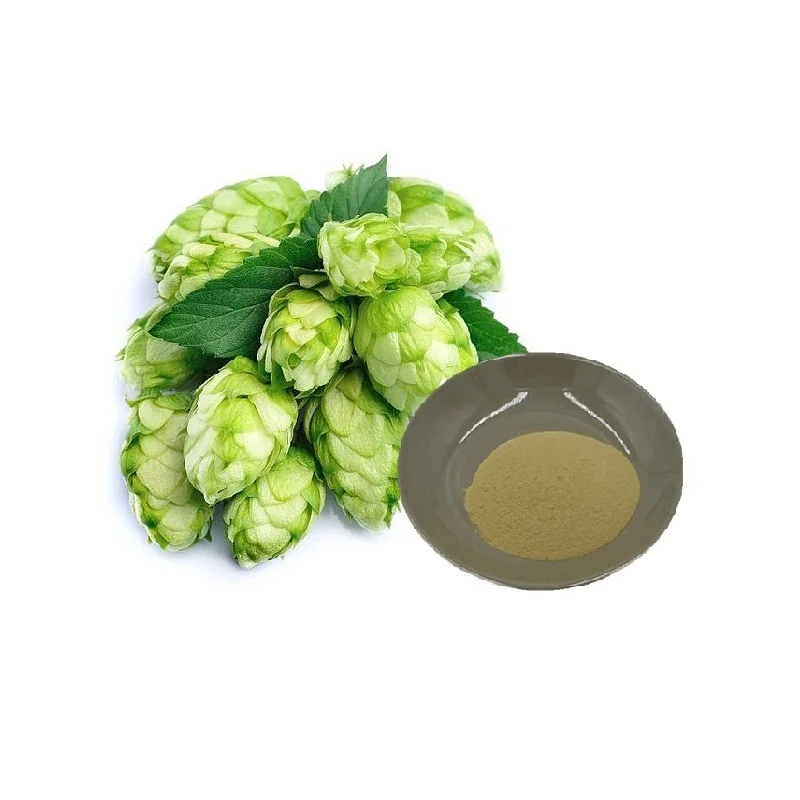 Factory price Natural  Hops Flower Extract Xanthohumol 5%-98% extract powder