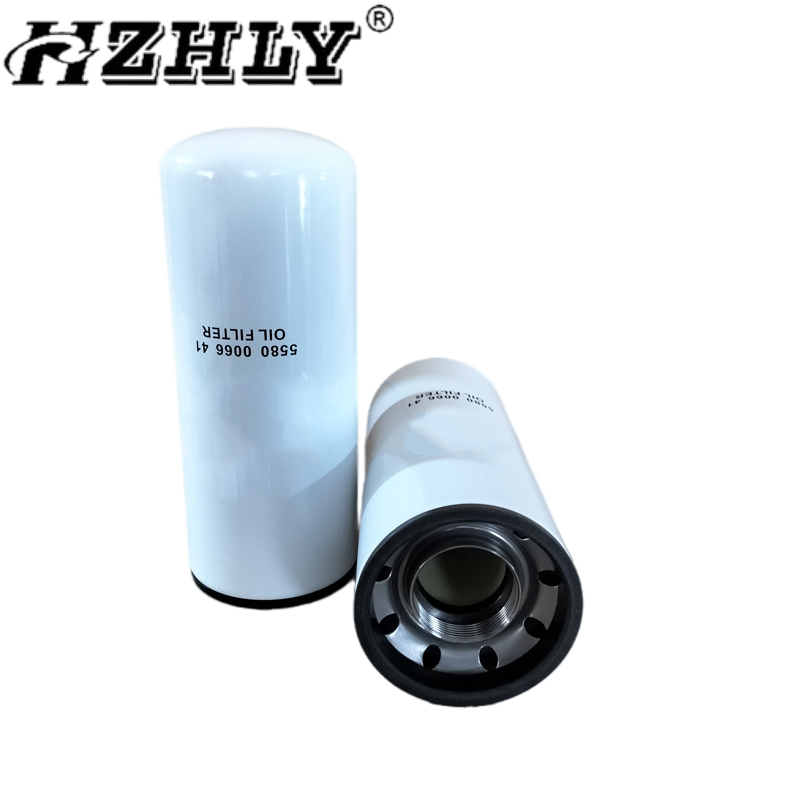 HZHLY Supply Hot Selling High Quality 5580006641 Oil Filter P553000 LF9009 SO10011 5580 0066 41