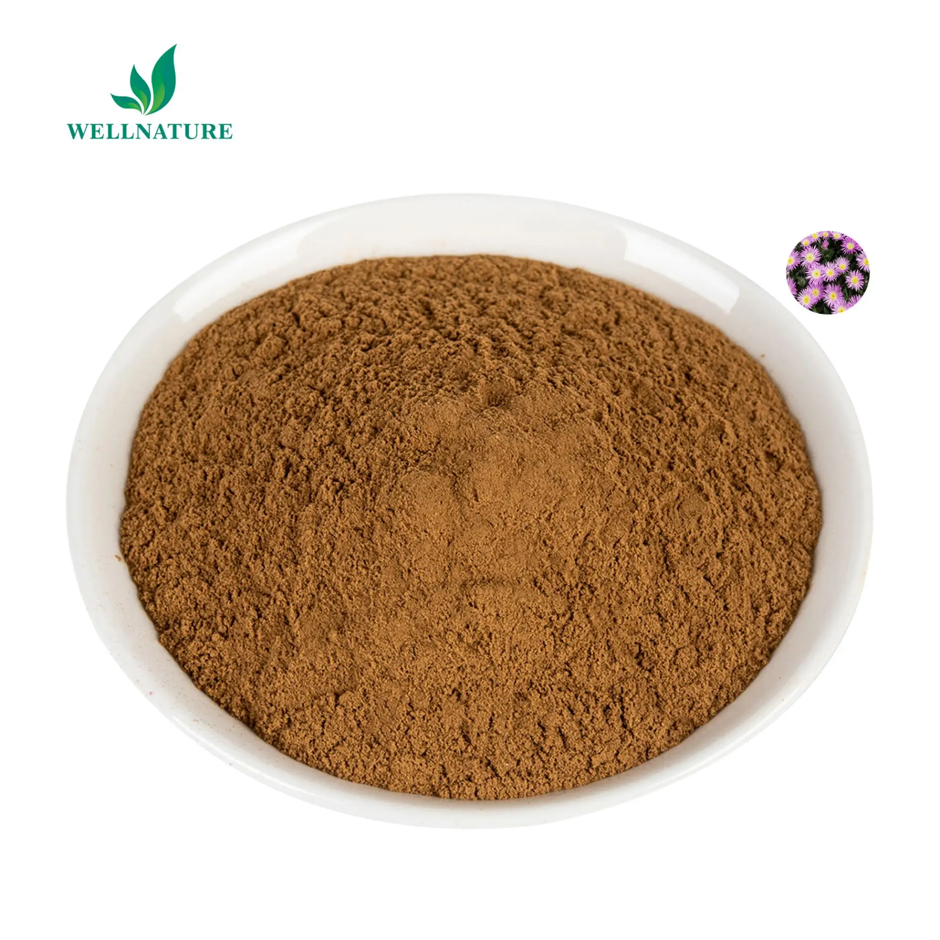 Wholesale Kanna Extract Powder 100:1 Sceletium Tortuosum Extract Mesembrine Powder for Food Additives