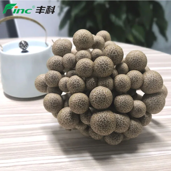 
2019 All Year Round Supplied Raw 6KGS/carton Mushrooms 