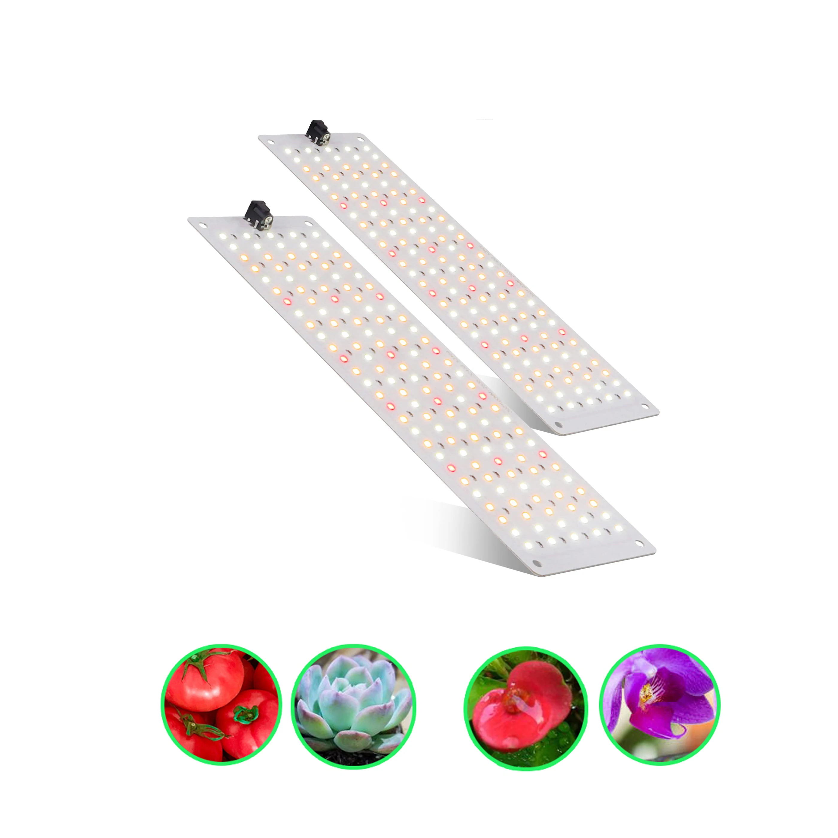 20w quantum board led grow light Full-Spectrum Plant Light Quantum Version with Dimming Timing High-Power LED Plant Grow Light
