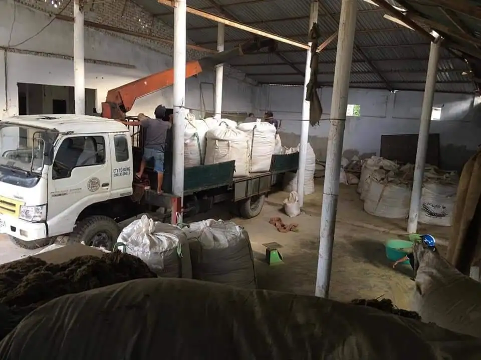 DRIED SEAWEED  ULVA LACTUCA _CHEAP PRICE in VIET NAM