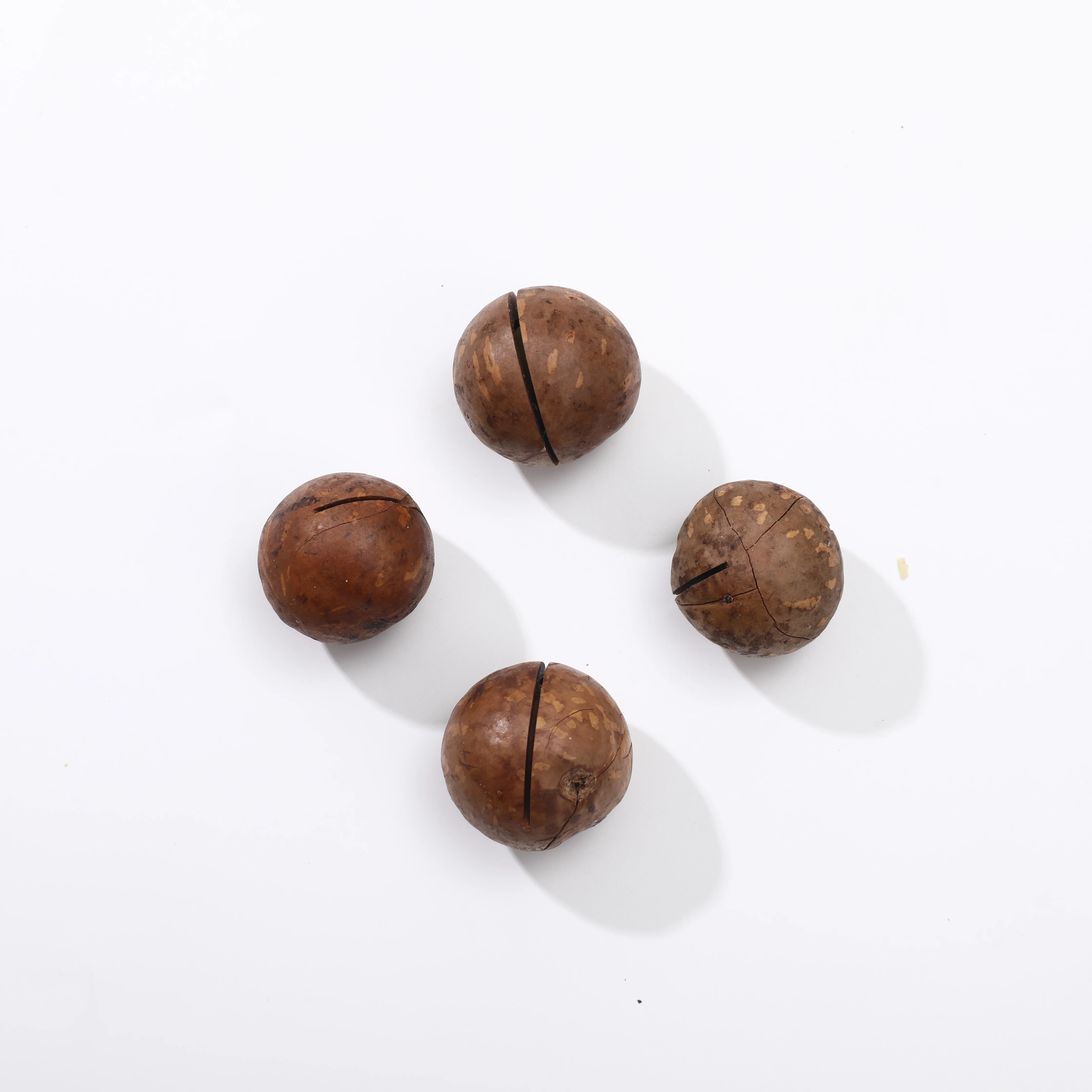 China Origin Milky Flavor   Roasted  Nuts Macadamia Nuts With Shell