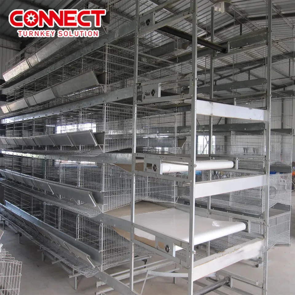 Layer Farm 7 Tier 8 Tier H Type Poultry Farm Cage Design Egg Layer Hens Cages Chicken Laying Cage For Completely Automatic