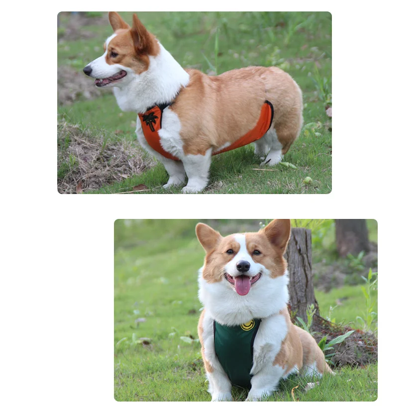 Pet Clothes Dog Belly Cover Apron Waterproof Vest for short leg dog