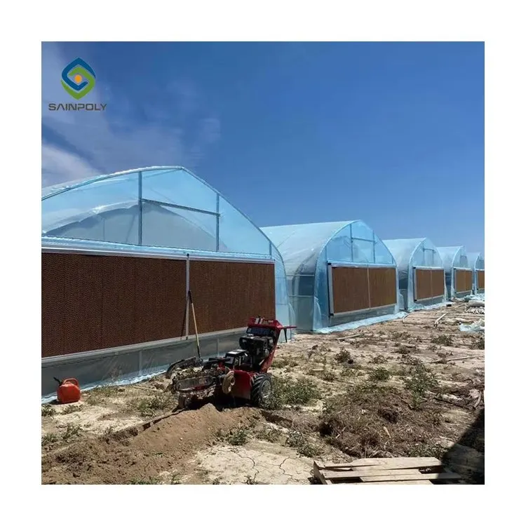 Galvanized steel frame luxury geodesic dome tunnel greenhouse greenhouse manufacturers used for sale