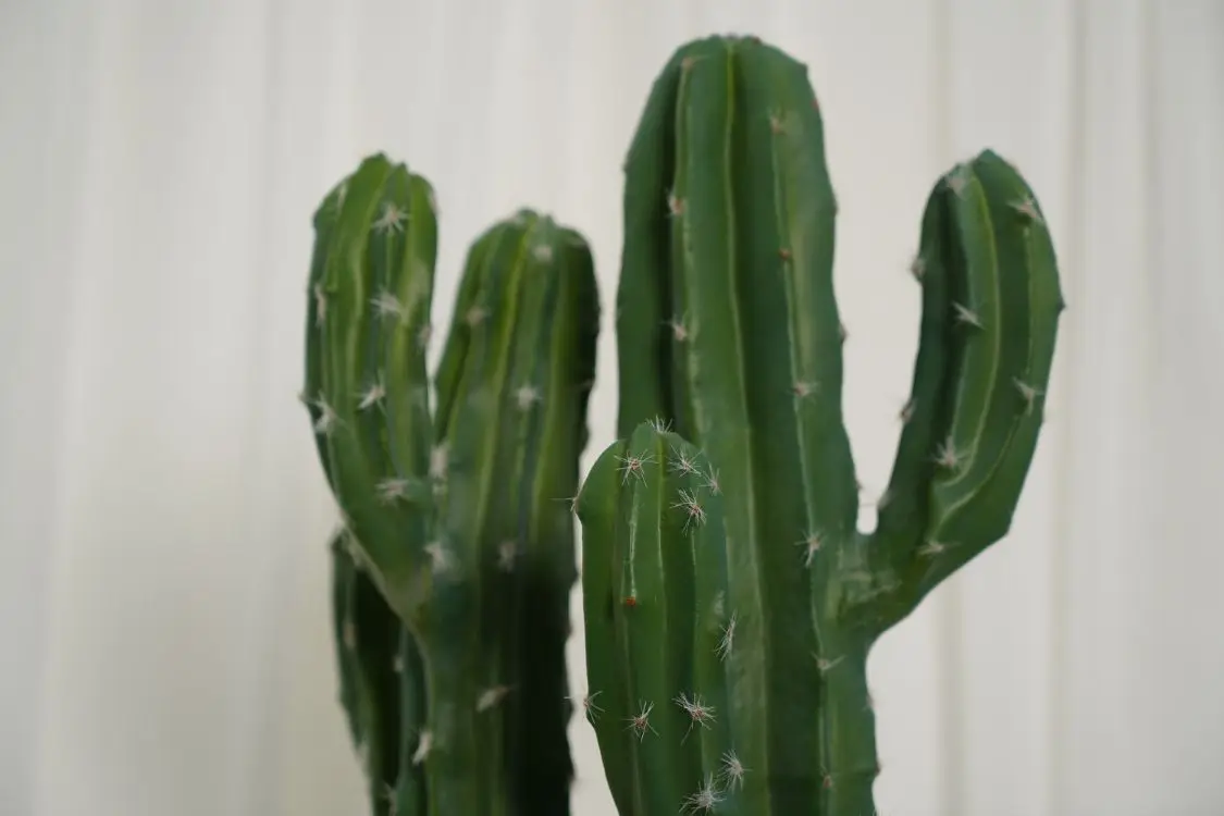 Hourpark Indoor Decoration Artificial Plastic Bonsai Cactus With Pot Faux Simulation Artificial Plants