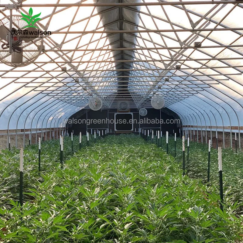 Walson 3 Layer Greenhouse Light Curtain 100% Light Proof Gutter Connected Greenhouse 32x9m Automatic Black Out System Greenhouse