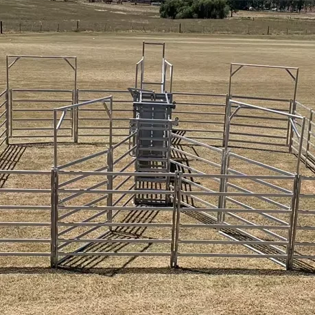 Wholesale livestock fence panel and cattle crush