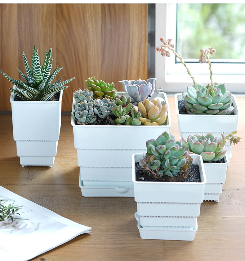 
Plastic Square Nursery and Seedling Pot Container Seed Starting Transplant Planter with Drain Hole for Succulents 