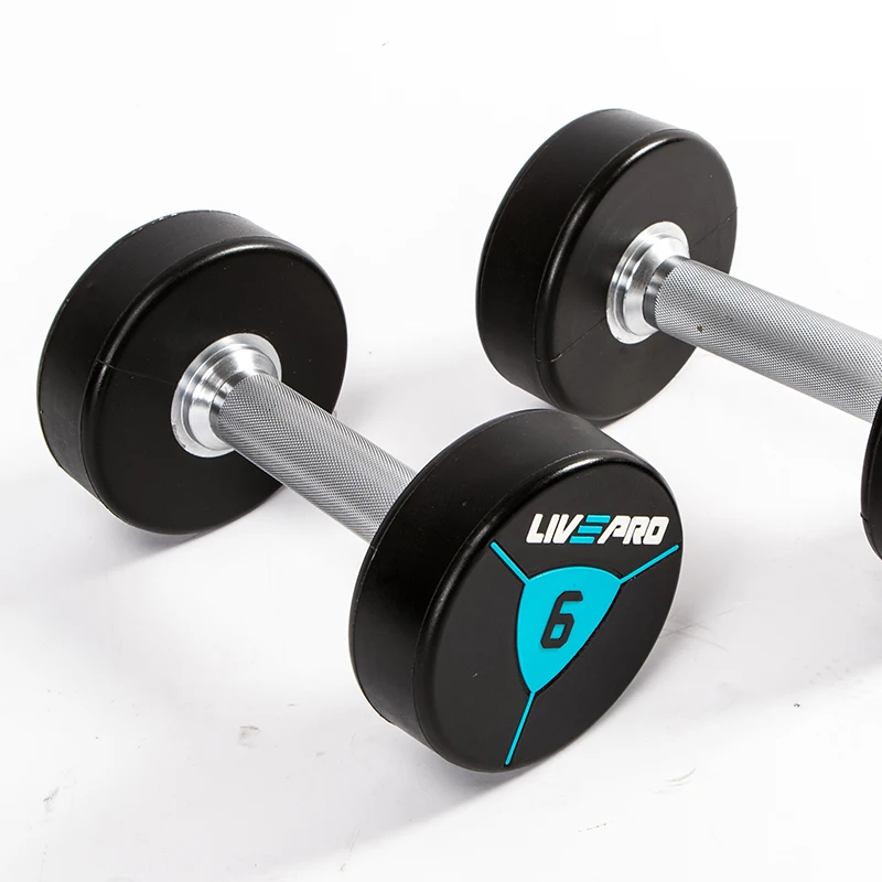 Gym Equipment Urethane Dumbbell Set Free Weights Custom Fixed CPU Dumbbells